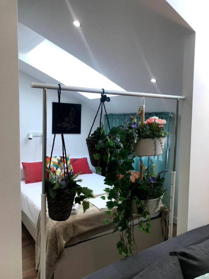 Insidehome Apartments - La Casita De Ursula Palencia Eksteriør billede